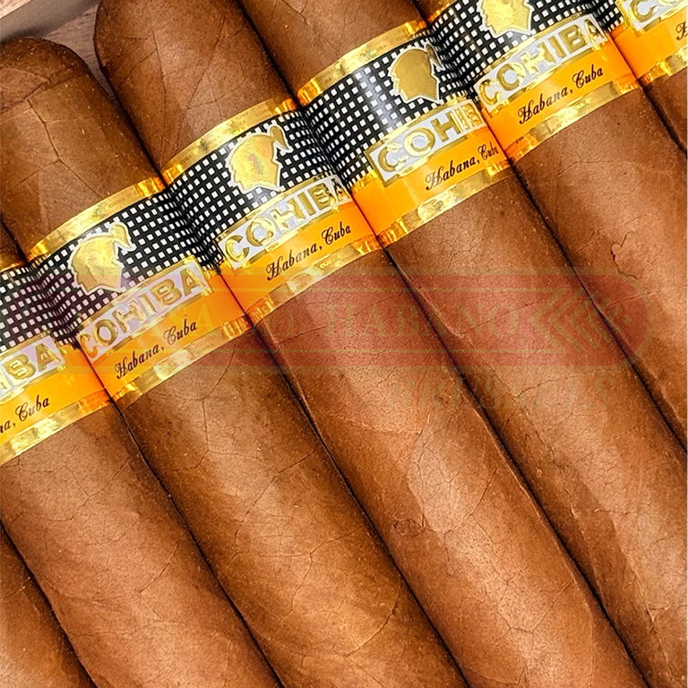 COHIBA AMBAR