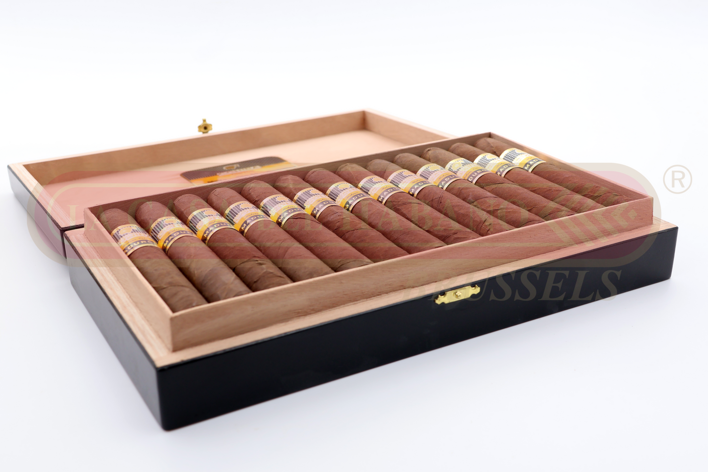 COHIBA MADURO 5 GENIOS