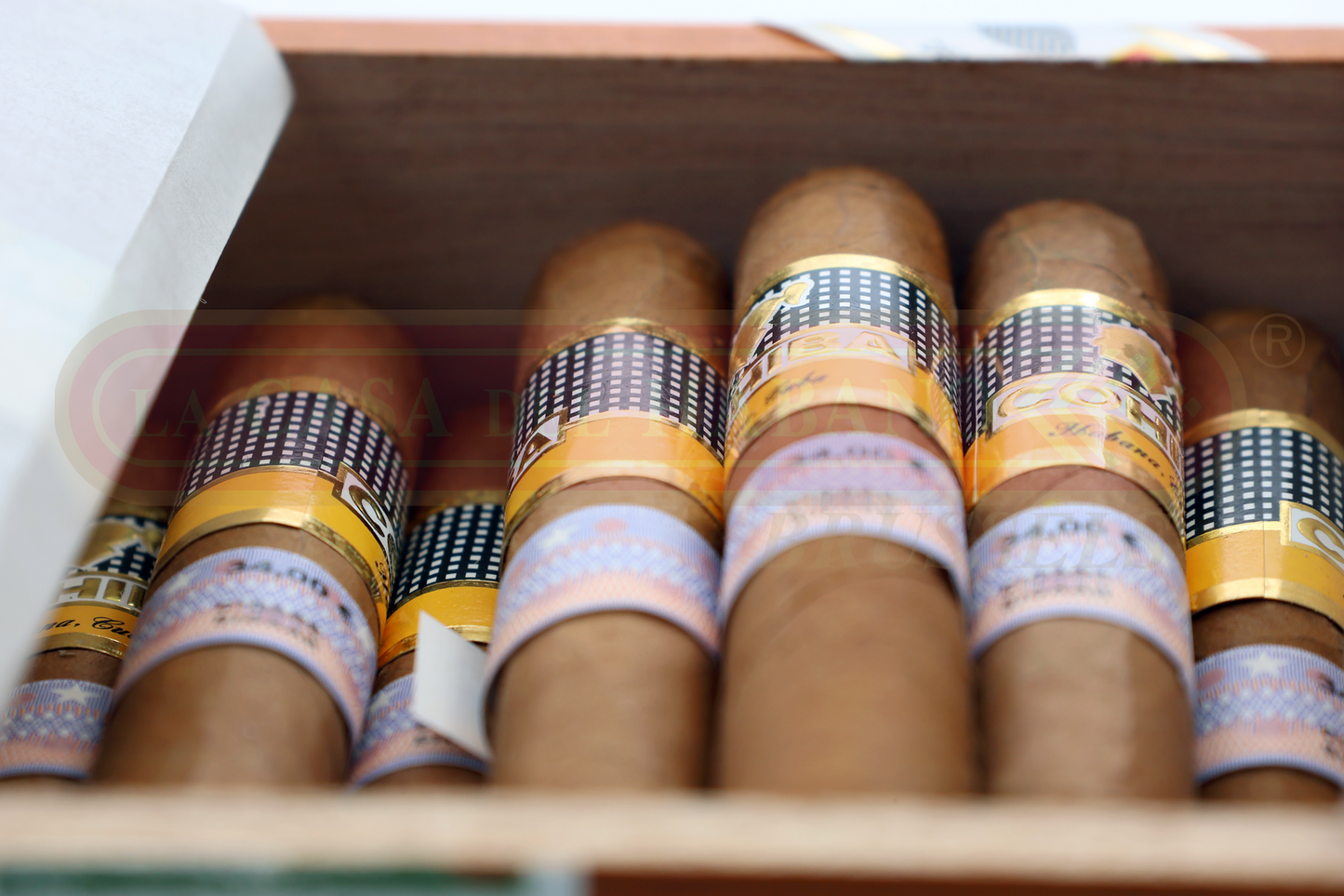 COHIBA SIGLO I - LINEA 1492