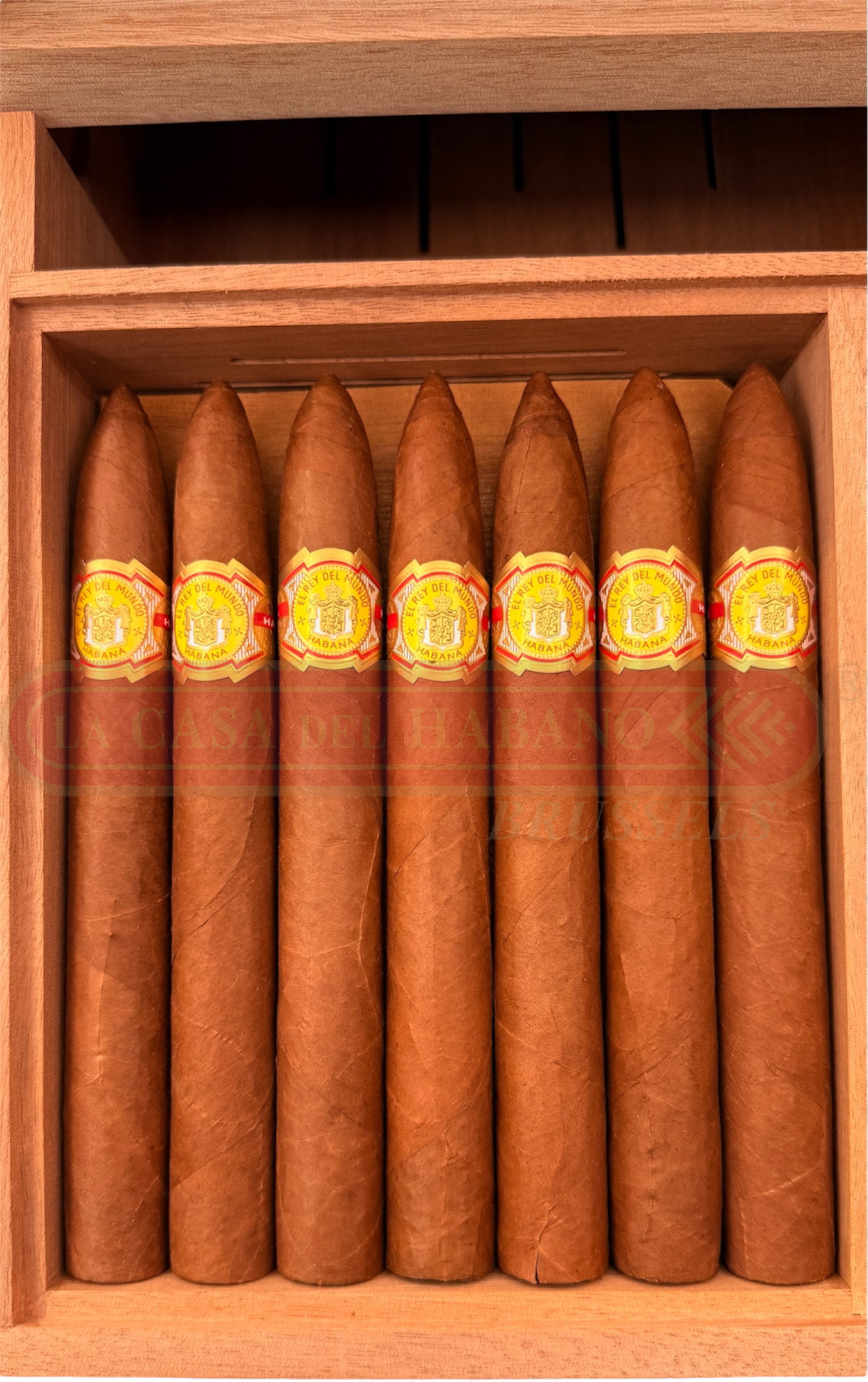 EL REY DEL MUNDO IMPERIO CIGAR HUMIDOR
