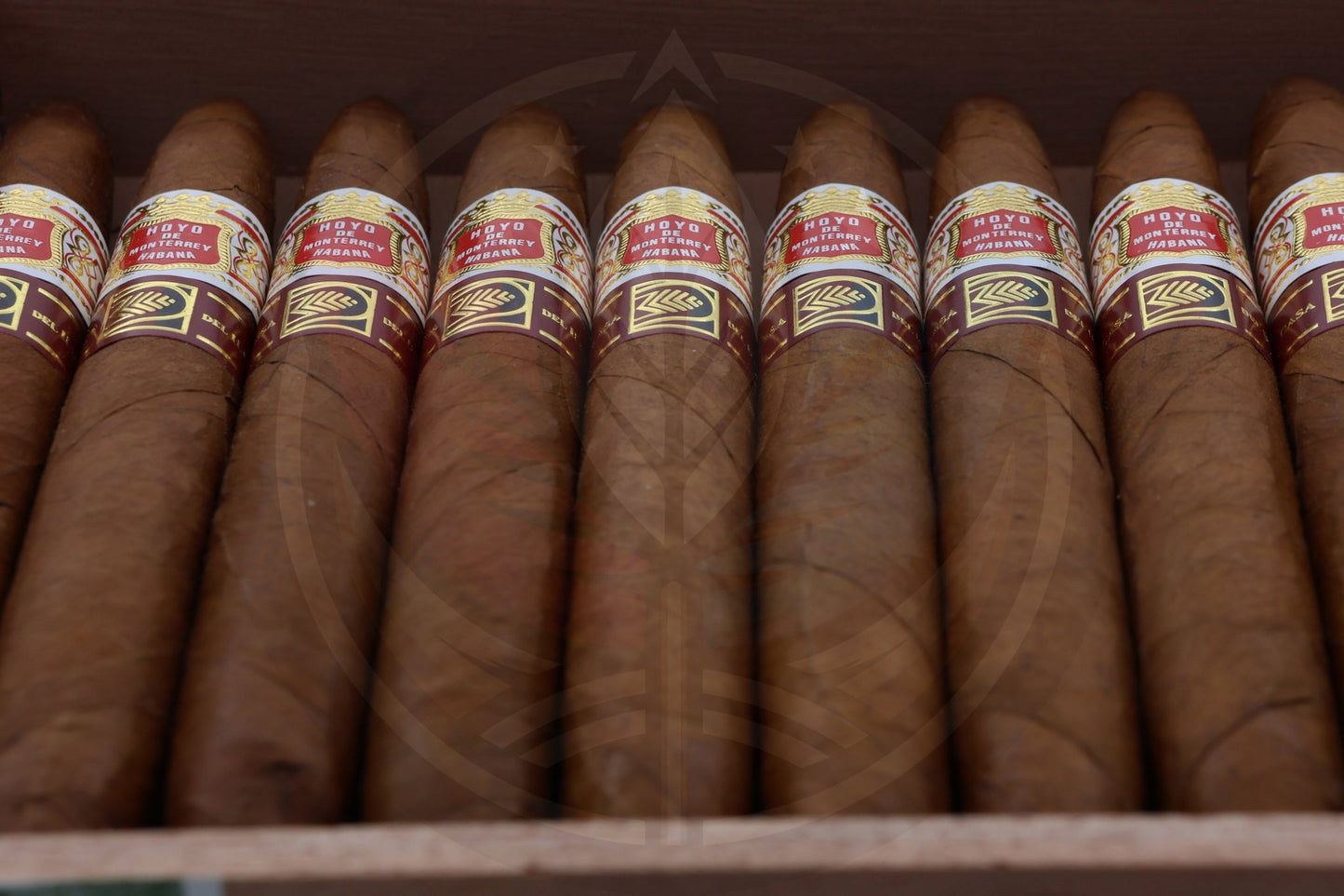 HOYO DE MONTERREY ELEGANTES LCDH LA CASA DEL HABANO