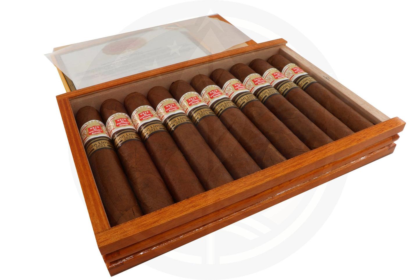HOYO DE MONTERREY MONTERREYES N 4 LIMITED EDITION 2021