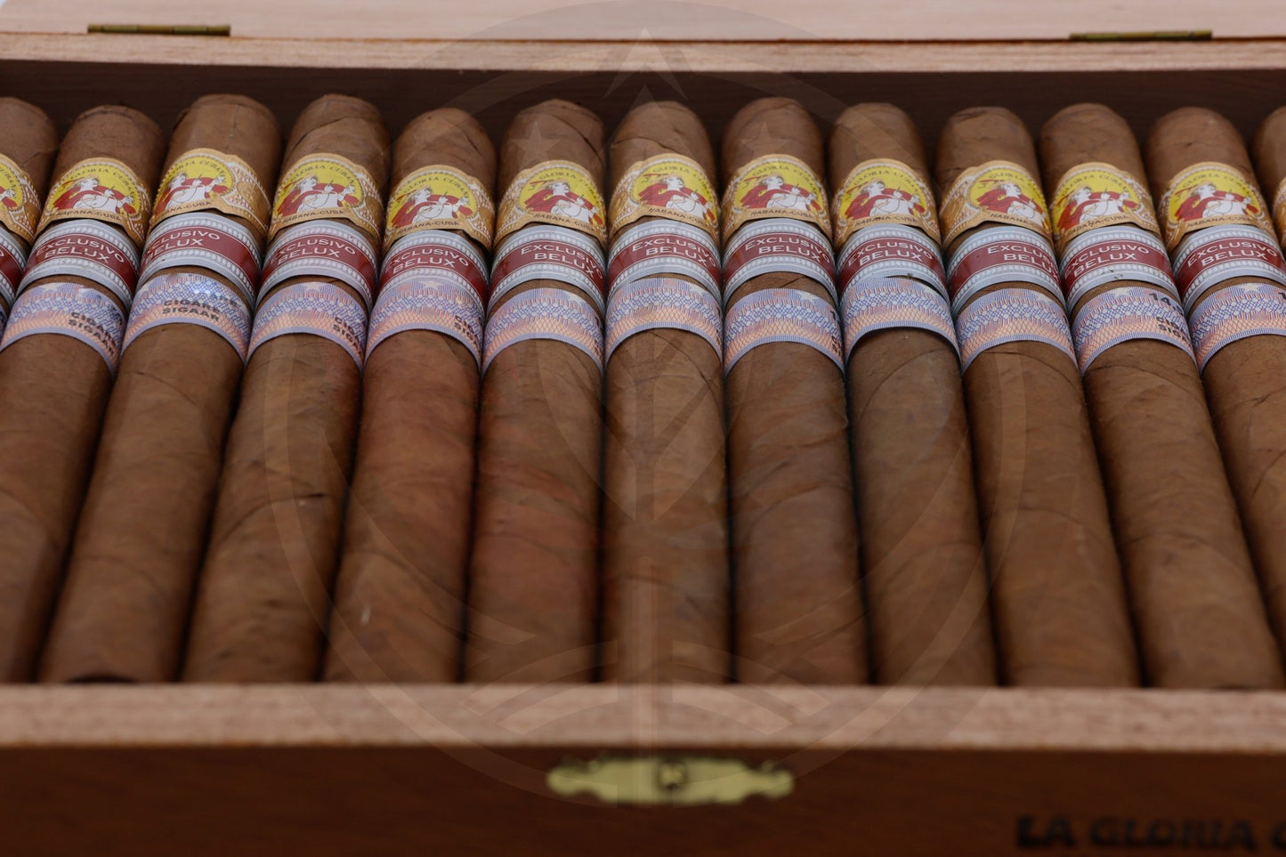 LA GLORIA CUBANA MEDAILLE D'OR ESPECIAL REGIONAL EDITION BELUX 2020