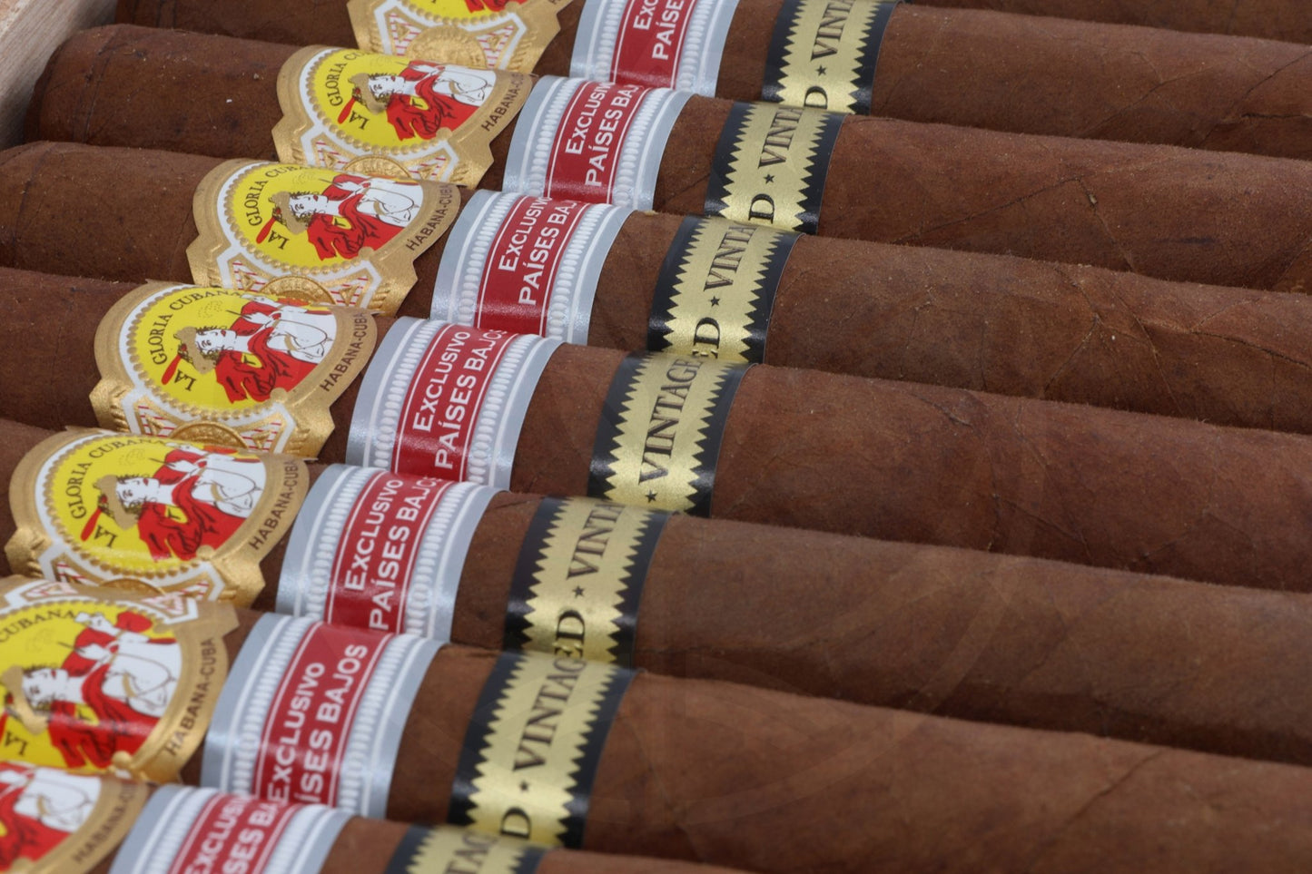 LA GLORIA CUBANA PLATINUM EDITION REGIONAL EDITION PAIS BAJOS 2016
