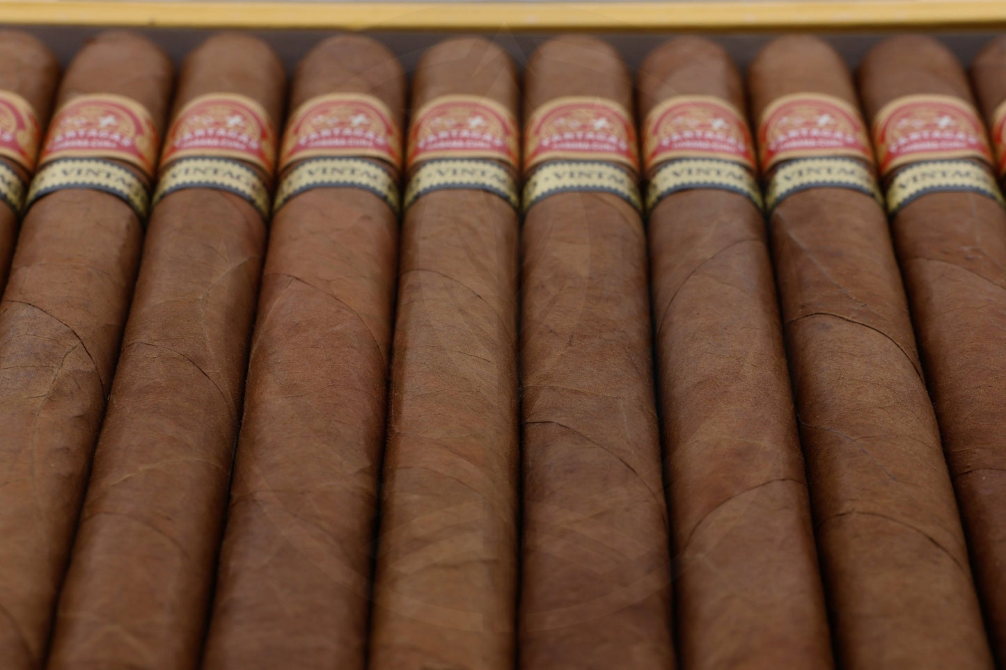 PARTAGAS LUSITANIAS 2019
