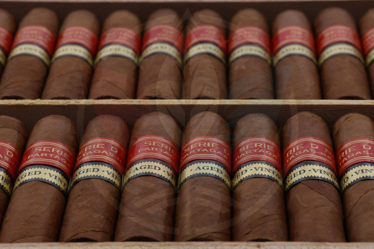 PARTAGAS SERIE D N 6 AGED 2019