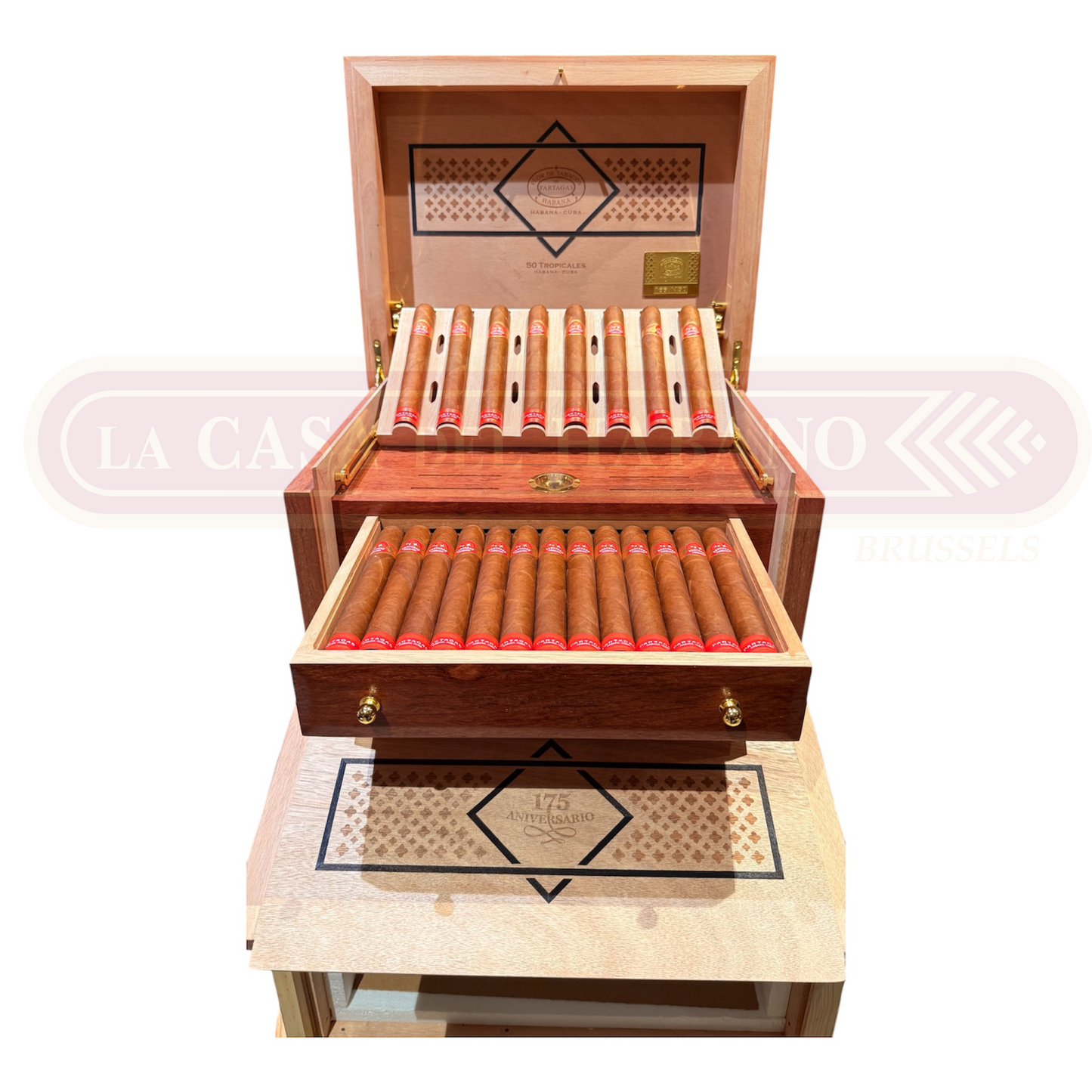 PARTAGAS TROPICALES 175 ANIVERSARIO HUMIDOR