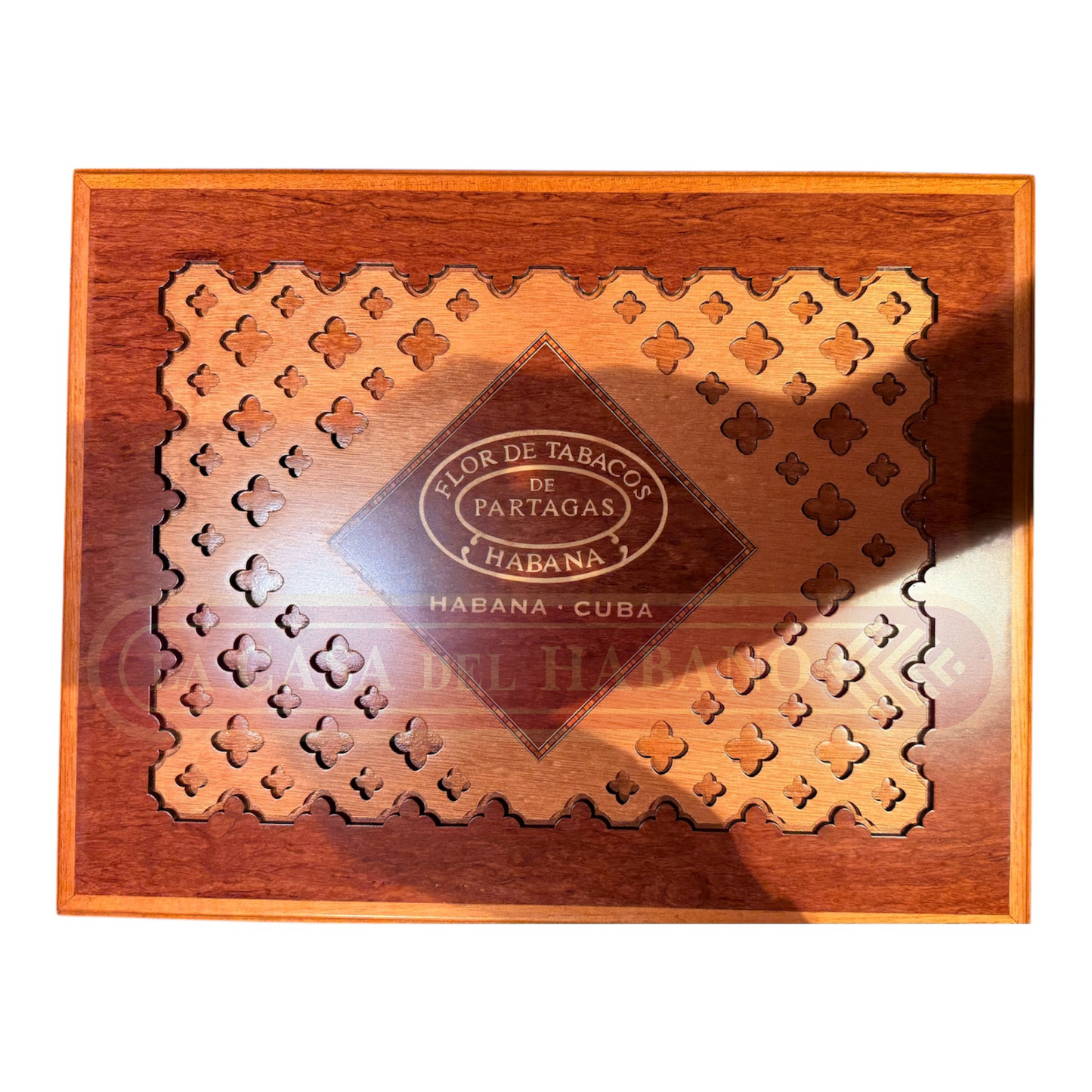PARTAGAS TROPICALES 175 ANIVERSARIO HUMIDOR