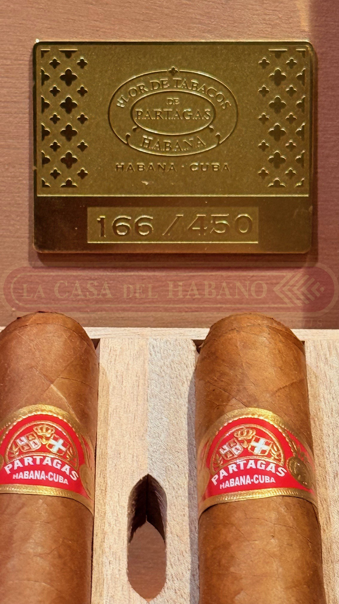 PARTAGAS TROPICALES 175 ANIVERSARIO HUMIDOR