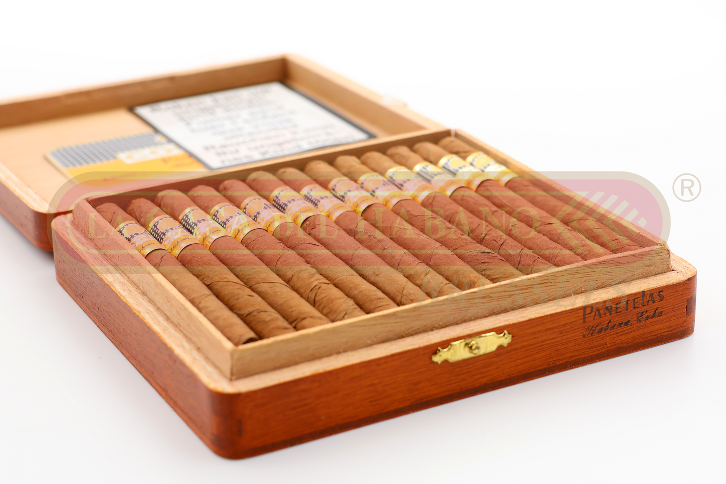 COHIBA PANETELAS /25 2019